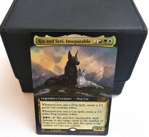 Rin and seri inseparabile - rin, mtg